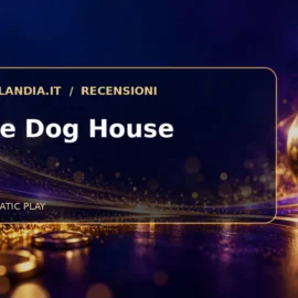 The Dog House