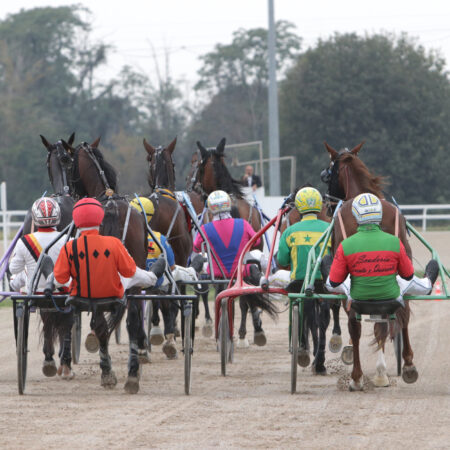 Ultima Domenica di Novembre all’Ippodromo Snai San Siro