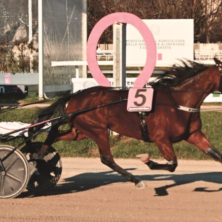 Ingrid Am trionfa nell’evento per i 2 anni all’Ippodromo Snai San Siro