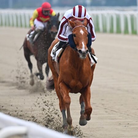 Ippodromo Snai San Siro: Lethal Nigio trionfa nel Premio Ruysdael